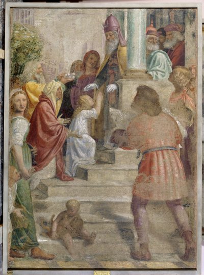Darstellung Mariens im Tempel von Bernardino Luini