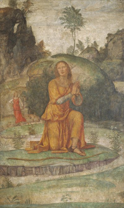Prokris