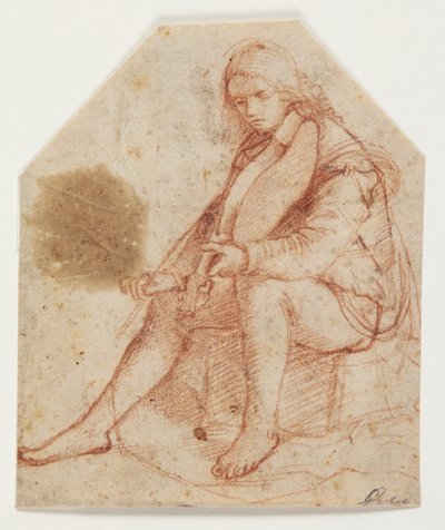 Sitzender Jüngling mit Viola von Bernardino Luini