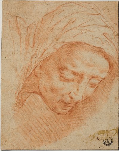 Frauenkopf von Bernardino Poccetti