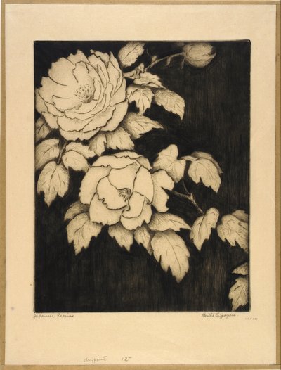 Japanische Pfingstrosen von Bertha E. Jaques