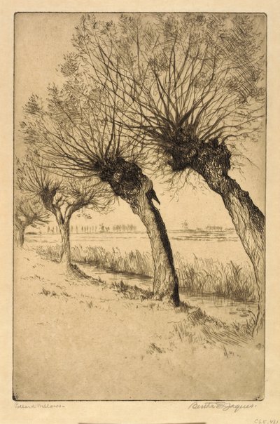 Kopfweiden, Rijsord, Holland von Bertha E. Jaques