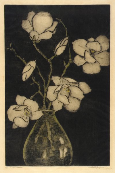 Frühlingsblüten (Magnolienbaum) von Bertha E. Jaques