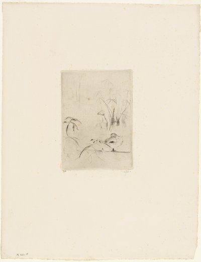 Die Ente von Berthe Morisot