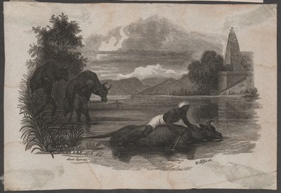 Bauern tragen tote Rinder, ca. 1850 (Gravur) von Blasius Höfel