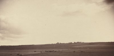 Ansicht von Feldern mit Kühen von British 19th Century