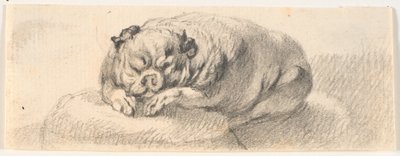 Ein Mops von C.A. Lorentzen