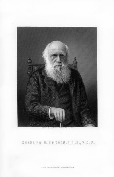 Charles Darwin, britischer Naturforscher, 1899 von C. Cook