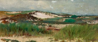 Nantucket Sanddüne, ca. 1890 von C. Morgan McIlhenney