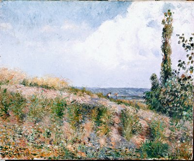 Landschaft von Camille Jacob Pissarro