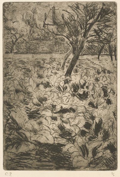 Das Kohlfeld (Le champ de choux) von Camille Pissarro