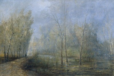 Donau-Auen von Carl Kaiser Herbst