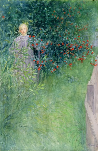 In der Weißdornhecke von Carl Larsson