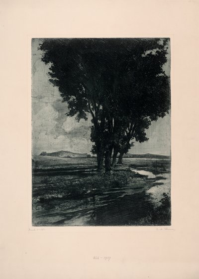 Schwarzpappeln von Carl Maria Thuma