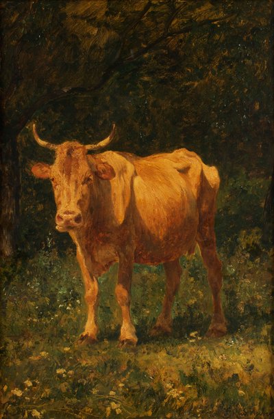 Semmelfarbene Kuh von Carl Rudolf Huber