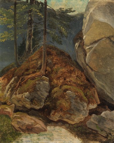 Ölstudie mit moosbewachsenem Felsen von Carl Spitzweg