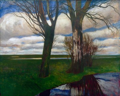 Moorlandschaft von Carl Vinnen