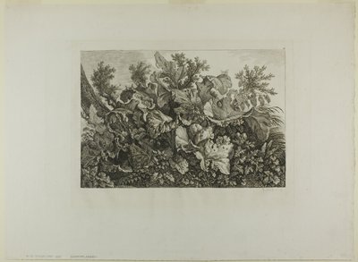 Sumpfpflanzen von Carl Wilhelm Kolbe, the elder