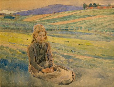 Sommerabend von Carl Wilhelm Wilhelmson
