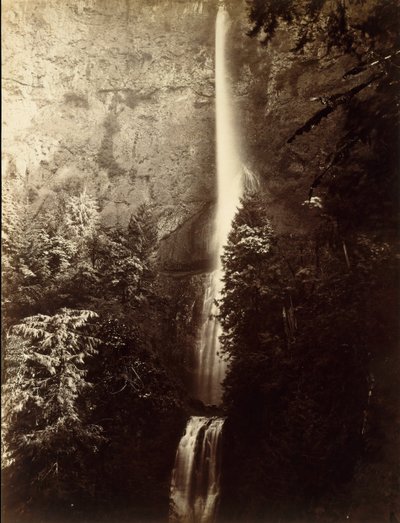 Multnomah Falls Cascade, Columbia River, 1867 von Carleton Emmons Watkins