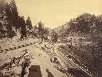 Blick auf den Lake Tahoe von Carleton Watkins