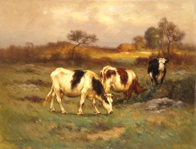Die Weidefläche von Carleton Wiggins