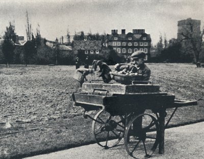 Kartoffeln in den Kew Gardens, 1941 von Cecil Beaton