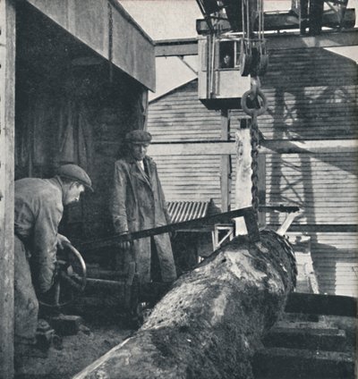 Holz sägen von Cecil Beaton
