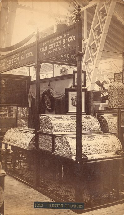 Trenton Crackers, 1876 von Centennial Photographic Co.