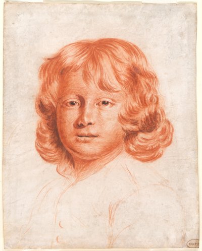 Porträt eines jungen Jungen von Charles Beale
