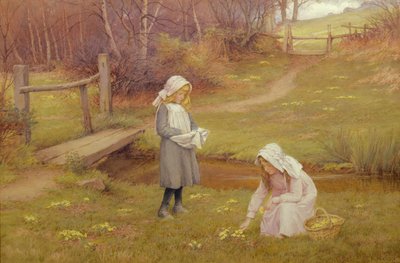 Die Primelsammler von Charles Edward Wilson