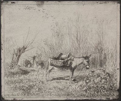 Ein Esel auf dem Feld von Charles Francois Daubigny