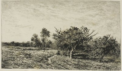 Apfelbäume in Auvers von Charles Francois Daubigny