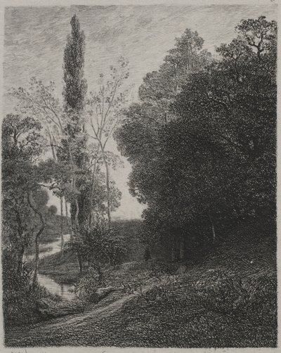 Ufer des Flusses Cousin von Charles Francois Daubigny