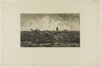 Der Regenschauer von Charles Francois Daubigny