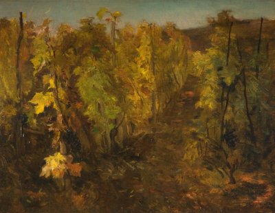 La Vigne, 1860-1863 von Charles Francois Daubigny