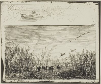 Sumpf mit Enten von Charles Francois Daubigny