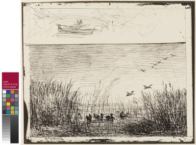 Sumpf mit Enten, 1862 von Charles Francois Daubigny