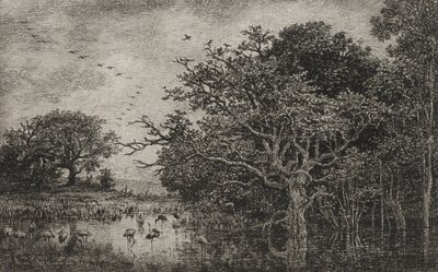 Das Moor mit Störchen von Charles Francois Daubigny