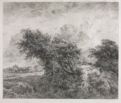 Das Dickicht von Charles Francois Daubigny