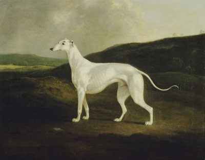 Ein Windhund in einer Landschaft von Charles Henry Schwanfelder