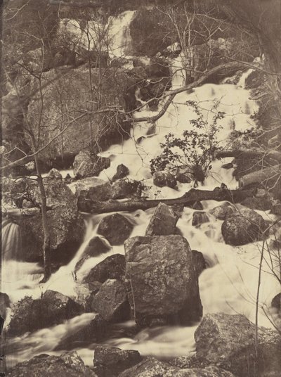 [Bäume und Wasserfälle], 1860-65 von Charles Nègre