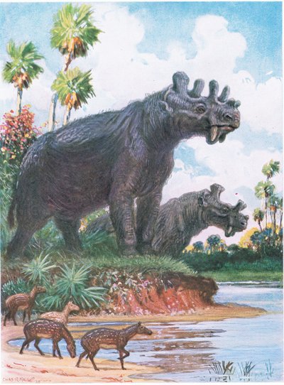 Sechshörniger Uintatherium von Charles Robert Knight