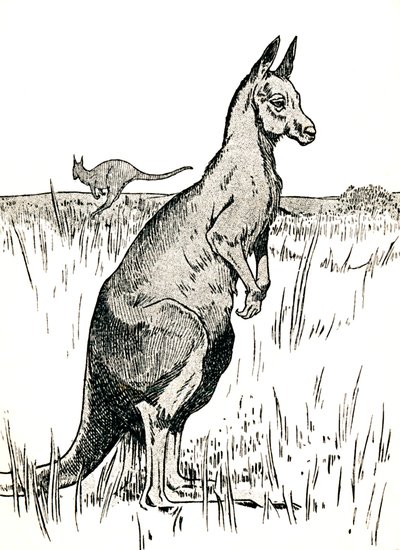 Das Känguru, 1912 von Charles Robinson