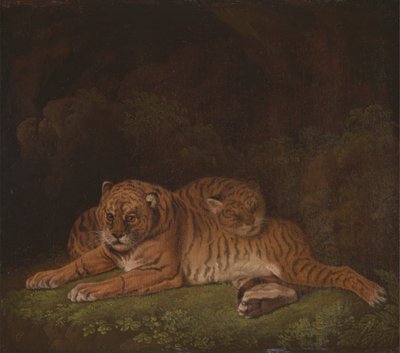 Tiger von Charles Towne