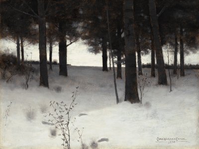 Wälder im Winter von Charles Warren Eaton