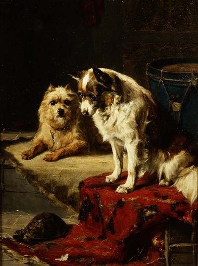 Hunde und eine Schildkröte von Charles van den Eycken