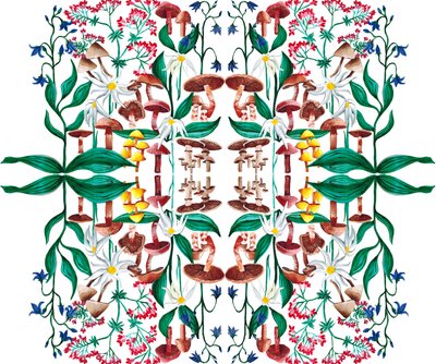 Wilde Pflanzen von Charlotte Orr