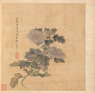 Chrysantheme von Chen Hongshou