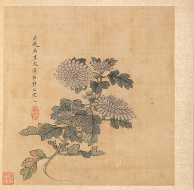 Gemälde nach alten Meistern: Chrysantheme, 1598-1652 von Chen Hongshou